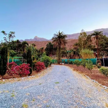 Country Near Fataga Lejlighed Artedara