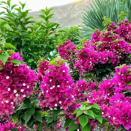 Country Near Fataga *